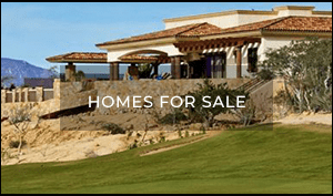 Homes for Sale in Los Cabos